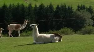 10550095_10152615558104313_95178676348355289_o